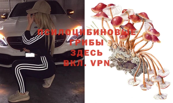 гашик Балабаново