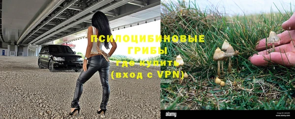 тгк Балахна