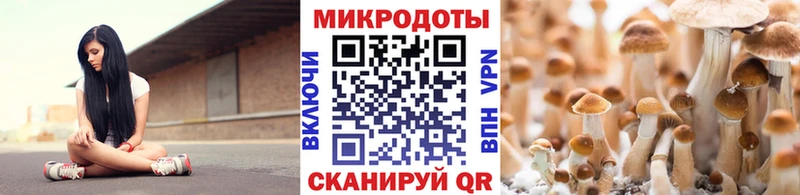 дарнет шоп  Луховицы  Галлюциногенные грибы Cubensis 